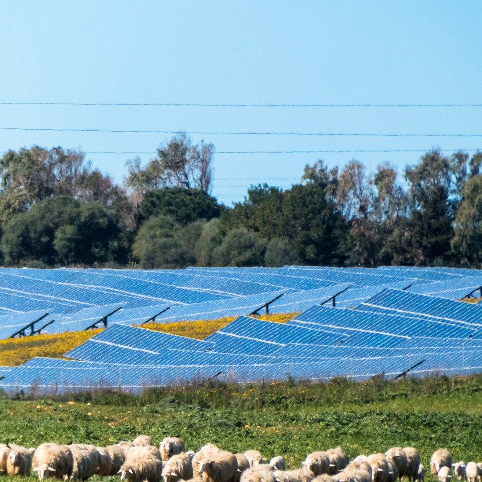 alternative energy agrivoltaic